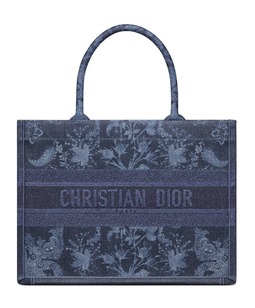 Christian Dior Small Dior Book Canvas Tote Blue